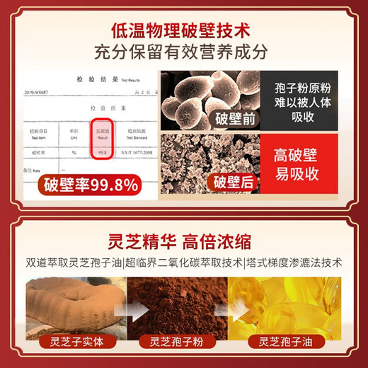 元生泰【体验装组合】武夷山元生泰破壁灵芝孢子粉10g+灵芝孢子油8粒 破壁灵芝孢子粉10g+灵芝孢子油8粒