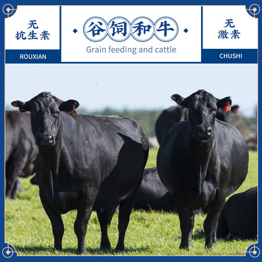 Meat Chef Wagyu M5 Grain-fed Original Cut Beef Roll Net Weight 2Jin Jin equals 0.5kg Fatty Beef Roll Snowflake Beef BBQ Hot Pot BBQ Ingredients