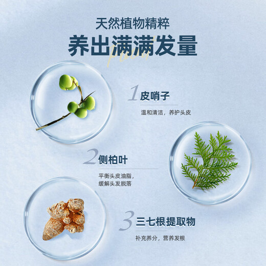 养元青 控油健发洗发水100ml  控油清爽防掉发 滋养头皮