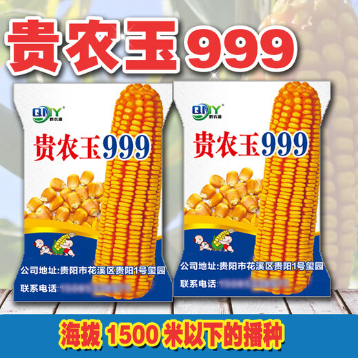 稻玉丰农业贵农玉999大棒品质好白轴籽粒深偏硬粒型优质玉米种子 贵农玉999玉米种子     5袋 4斤装/袋