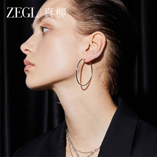 ZEGL925 sterling silver earrings, women's earrings, earrings, elegant, luxurious and luxurious, as a birthday gift for your best friend
