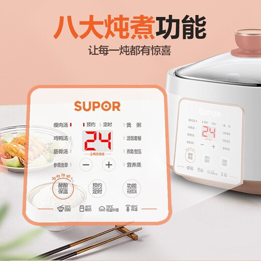 苏泊尔（SUPOR）电炖锅电炖盅煲汤锅炖汤锅白瓷炖锅 一锅五胆隔水炖 酒酿养生锅 【DZ25YC828】 2.5L 一锅五胆白瓷内胆
