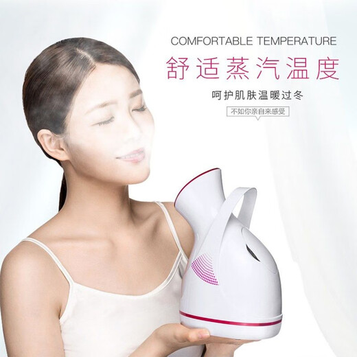 KONKA facial steamer, hot spray household beauty facial steamer, hot spray 40 degree hot spray hydration device, steam cleaning mask, partner's birthday, Valentine's Day gift for wife, girlfriend, mother, large water tank 100 ml (recommended)