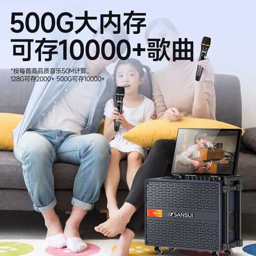 山水（SANSUI）Q065家庭ktv音响套装广场舞音响带显示屏卡拉ok功放一体机户外k歌直播蓝牙音箱视频机 Q085大8吋【20喇叭】500G+支架