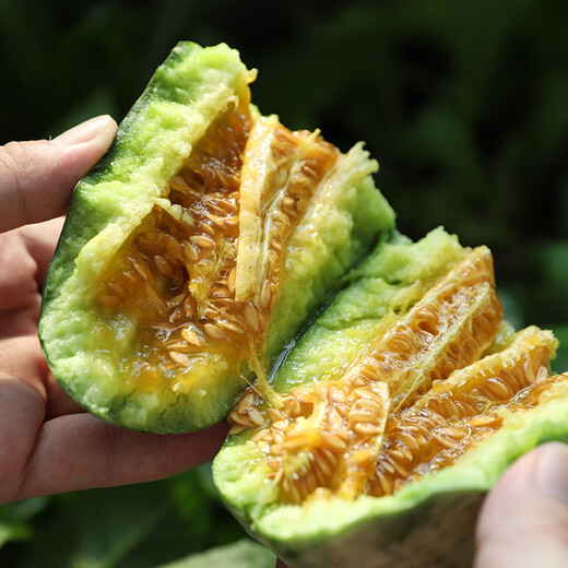 Shouhe croissant seed seedlings thin-skinned and crispy four-season fruit melon seeds Weifeng croissant seeds 30 pieces