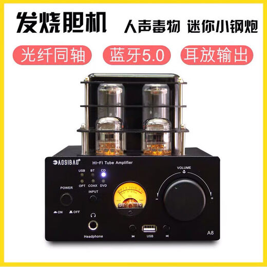 Augsburg British fever tube amplifier hifi high-fidelity Bluetooth 5.0 with ear amplifier front and rear stones