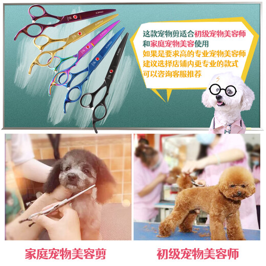 Xuanniao pet scissors household dog hair cutting curved scissors trimming shearing scissors pet grooming scissors tool set seven colors (straight scissors + curved scissors)