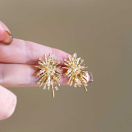 Tapaying Fashionable Zircon Fireworks Earrings Light Luxury High-end Autumn and Winter Earrings Korean Style Earrings Fashion Earrings New Style Fireworks Earrings Pair