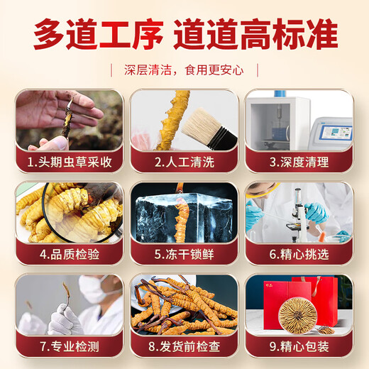 同芙 冬虫夏草3根/g 50g 约150根礼盒装 滋补营养补品送长辈礼品礼物