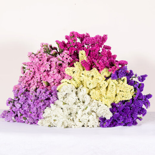 AIMAN Yunnan Forget-Me-Not Real Flowers Dried Flower Bouquet Home Furnishings Small Fresh Living Room Gypsophila Flower Arrangement Theory Jin Jin is equal to 0.5 kg. Sell Lover's Grass One Bouquet Dried Branches