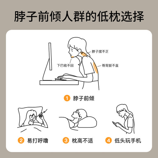 KING SHORE Type A pillow, washed cotton shaped pillow, kindergarten student dormitory pillow core, 40*60cm single