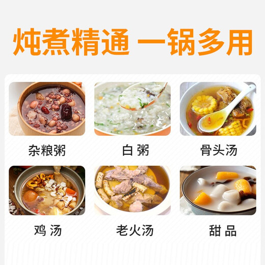 Tianji (TONZE) Tianji Electric Stew Pot Ceramic Liner Electric Stew Cup Porridge Pot Porridge Pot Stew Soup Pot Electric Casserole 1-2-3-4-5 Household Smart 10N Suitable for 5~8 People 5L