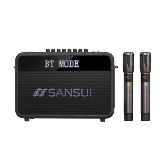 山水（SANSUI）便携式手提音箱广场舞音响音箱带KTV无线话筒小型直播k歌音响移动户外大功率声卡卡拉OK G13【歌词同步+一键消音】