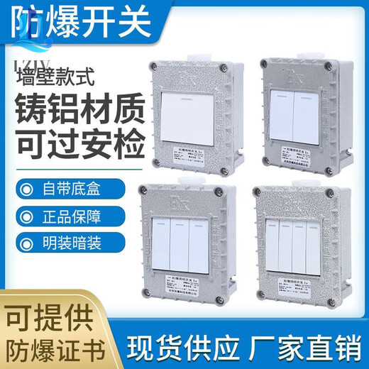 Explosion-proof wall switch explosion-proof lighting switch SW-10 waterproof and dustproof wall switch type 86 220V 380V one switch can be dual controlled