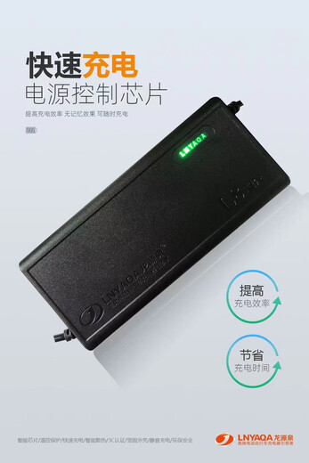 Longyuanquan L8 smart charging high-end electric vehicle charger 60V is suitable for all kinds of electric vehicles Longyuan L8 smart charging 60V45AH universal T type