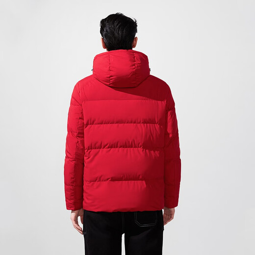 HLA Hailan Home Down Jacket Men's Casual Hooded Clever and Stylish Atmospheric Jacket