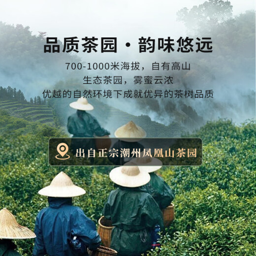 Master Zhuo Master Oolong Tea I'll make Phoenix Single Pine Milan Xiang Special 152g Foot Fire Canned Strong Scent Tea Leaves