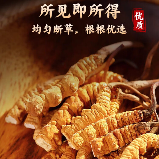 Support quality inspection 100 grams to get 10 grams of big broken grass Authentic Cordyceps sinensis Cordyceps sinensis Cordyceps sinensis and self-eating tonic Cordyceps sinensis Cordyceps sinensis 10 grams to get one gram