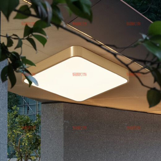 铜颜别墅大门全铜吸顶灯防虫自建房门厅灯入户户外大门口照明灯阳台灯 X3893-400*600/长方形