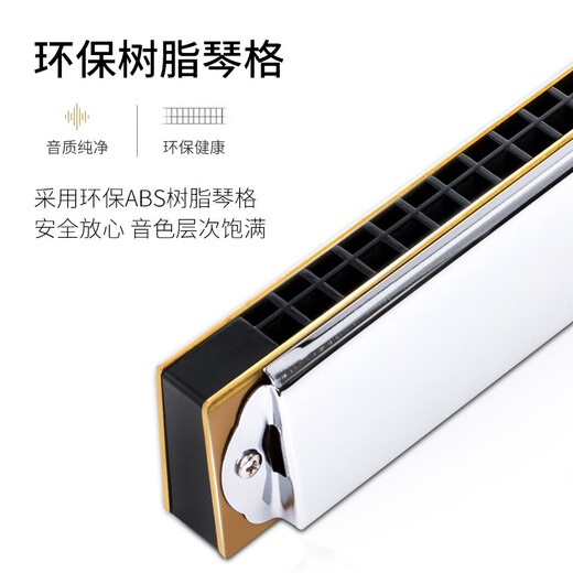 东方鼎重音口琴21孔进口音簧T2110演奏级12个调性初学生成人专业乐器 B调