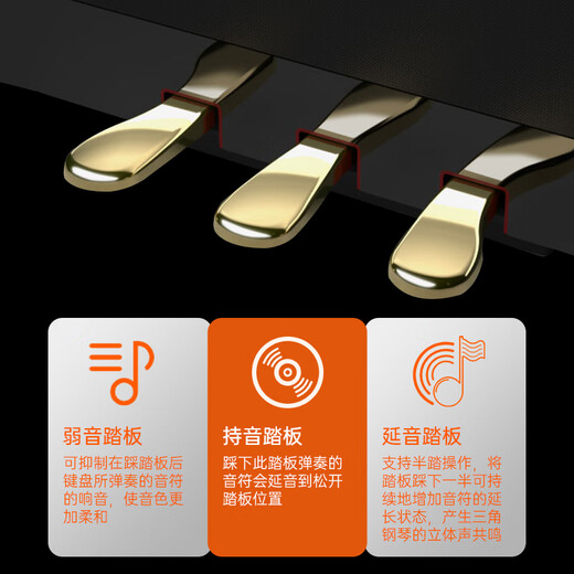 罗兰（Roland）智能电钢琴RP701黑色蓝牙考级立式88键重锤电钢琴家用套装