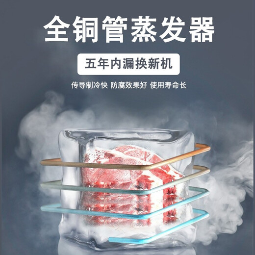 白雪金色数显温控商用家用卧式大冷柜 620-1050升冷冻冷藏展示柜 大容量高效制冷节能环保冰箱 850FDU【铜管五年内漏换新】 850L
