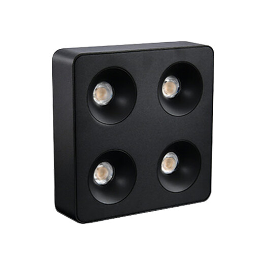 Renjuyi custom built-in ultra-thin gem lamp home living room four-head spotlight anti-glare main lamp square double-head bean gland lamp single-head white and black 12W9898 low 3000K warm light Laifude power supply