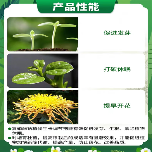 Aidoshou 1.8% sodium nitrophenolate promotes germination and rooting to relieve dormant tomato plant growth regulator 50ml 1 bottle