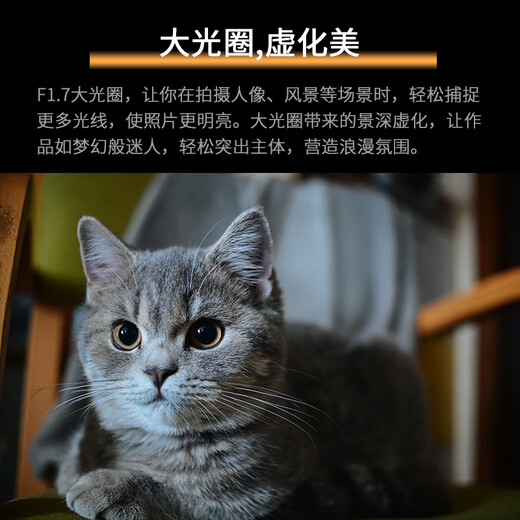 Cheka 25mmF1.7 Portable Retro Manual Fixed Focus Lens for X/RF-S/E/Z/EF-M/M43 Mount Nikon Z Mount Black