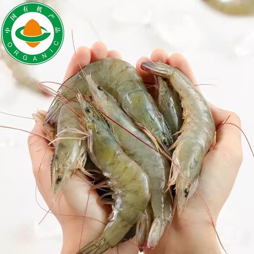 Taihuhai organic prawns, antibiotic-free salt field shrimps, fresh and frozen prawns, pregnant and baby tongbaobao, Spring Festival products, organic shrimps 1200g (net weight)