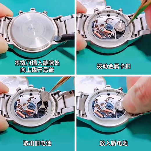 震电一号适用阿玛尼手表电池AR-2447 2448 7329 11054 11153日本 AR-2447专用(1粒)
