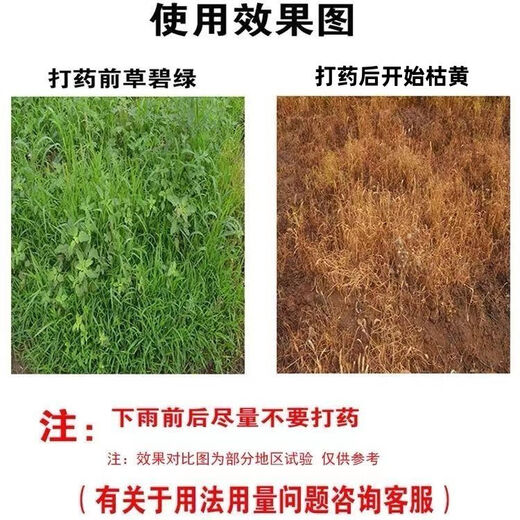 Glyphosate ammonium salt special powerful weed-killing root-rot agent orchard glufosinate phosphorus root-killing high-concentration pesticide 5kg