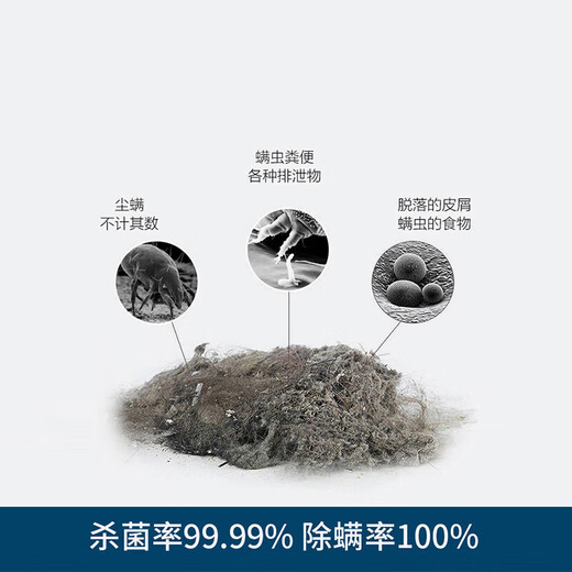 German technology wireless mite removal instrument artifact for bed mites household handheld UV machine Shiyu (70% selected) white flagship model