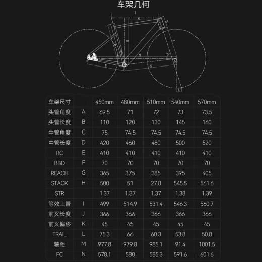 喜德盛【门店提车】公路自行车AD500电子变速油碟刹桶轴24速碳纤维前叉 鸽子灰/黑 480mm