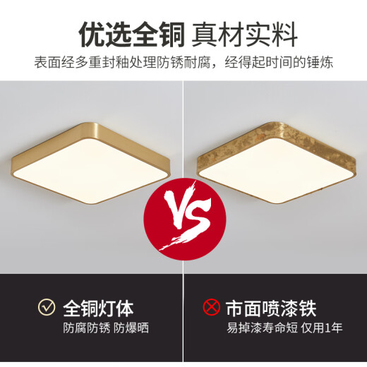 铜颜别墅大门全铜吸顶灯防虫自建房门厅灯入户户外大门口照明灯阳台灯 X3893-400*600/长方形