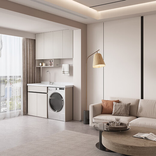 XMSJ Washing Machine Balcon Cabinet intégré Cabinet de lavage en aluminium Aluminium Lavage Piscine Lavage Companion Lavage Wash Basin Personnalisation de l'armoire entière Honembels Aluminium 13063 Basin gauche Chauffage Khaki
