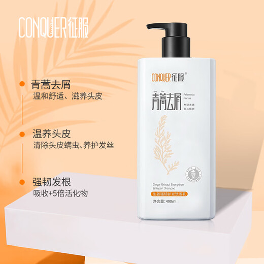 征服洗发水青蒿防螨去屑止痒生姜养发控油洗发乳头皮精华素男女洗发露 生姜强韧护发洗发乳728ml