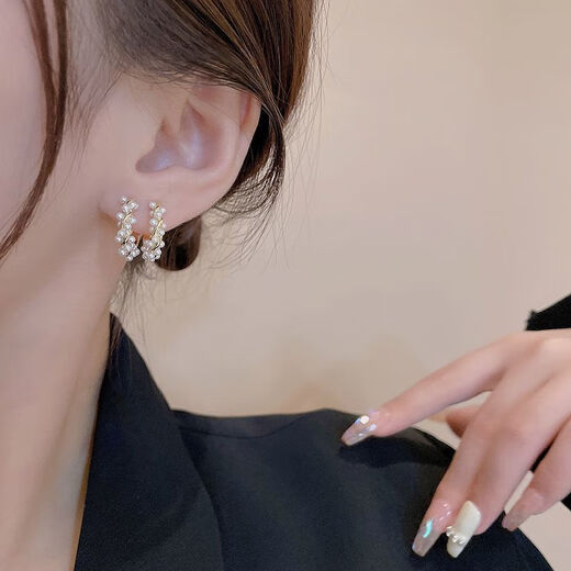 Countercurrent Fish Minimalist Style High-end Wrap Circle Earrings Women's Light Luxurious Temperament Earrings French Romantic Internet Celebrity Earrings