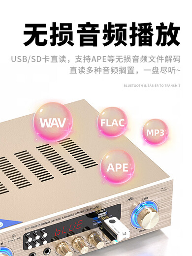 SAST AV-208 Verstärker Hochleistungs-Profi-Verstärker Home KTV Bluetooth-Verstärker Audio HiFi Soundqualität 100 Watt Bluetooth-Verstärker
