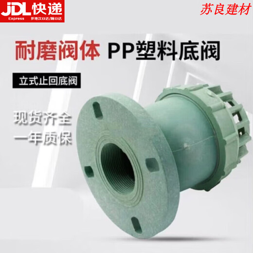 XMSJDN25-DN200防腐耐酸碱塑料底阀 塑料法兰逆止阀止回定制 DN1506寸