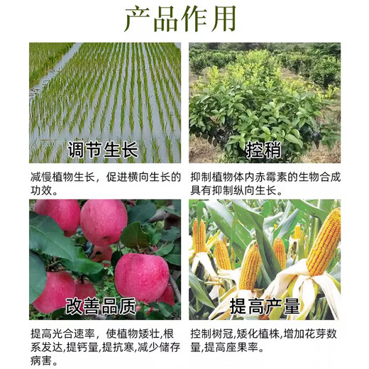 Uniconazole is used to control sweet potatoes, soybeans and sweet potatoes, and is a special agent for controlling the growth of peanuts and peppercorns.