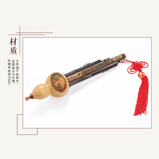 相思鸟葫芦丝乐器 三音可拼插C调紫竹梅花扣葫芦丝初学 XS2035