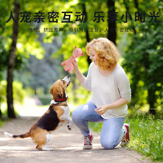 EETOYS Pink Deer Dog Latex Toy, Fun, Sounding, Interactive Teeth Cleaning, Companion and Boredom Relief Pet Supplies