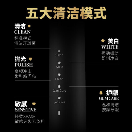 Lion SMARTKEY Sonic Vibration Electric Toothbrush Waterproof Rechargeable Couple 1 Body + 2 Brush Heads Magnetic Levitation Electric Toothbrush 1 Extremely Black