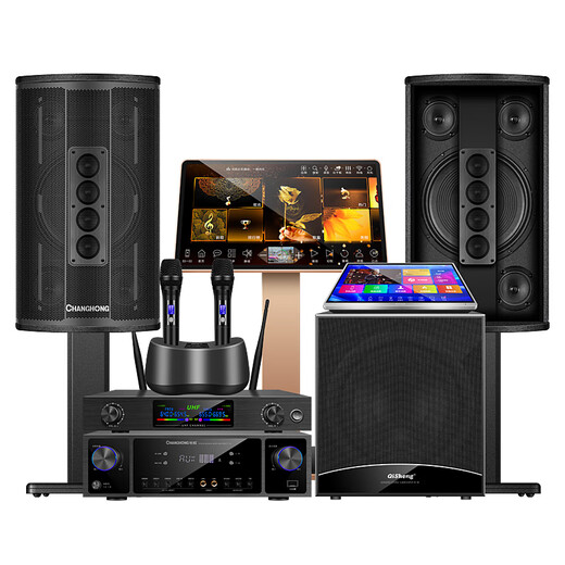 ToBaGe home ktv audio set complete set of singing equipment dual system karaoke karaoke all-in-one machine home living room TV projection external floor-standing singing karaoke theater speaker configuration 11 12-inch fever version + 500G karaoke machine + fever microphone