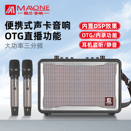 MALONE portable Bluetooth karaoke audio outdoor square dance live broadcast with sound card microphone guitar playing and singing performance speaker amplifier GT-001 (450W) + dual microphone + gift flagship version