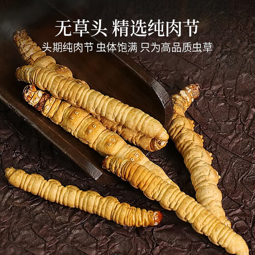 Xueyuantang cordyceps sinensis insecte entier herbe cassée authentique cordyceps sélectionnés produits toniques plateau cordyceps entiers insectes chinois médicinaux toniques environ 0,2 g / racine (insecte entier herbe brisée)