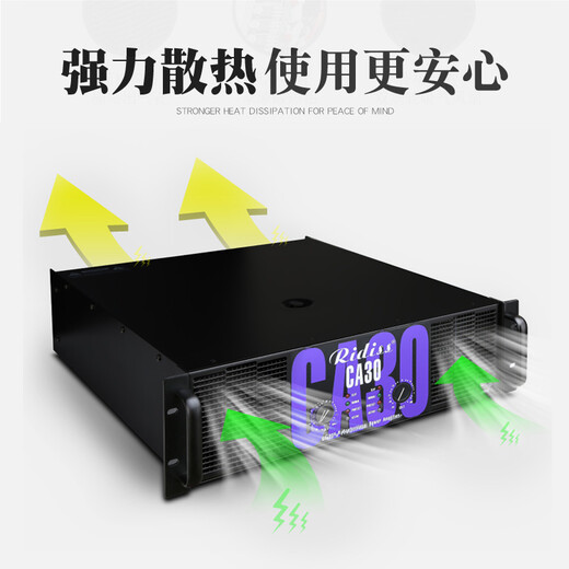 Ridiss professional power amplifier CA series dual-channel high-power professional audio stage sound performance engineering home KTV pure power amplifier CA6 650W*2