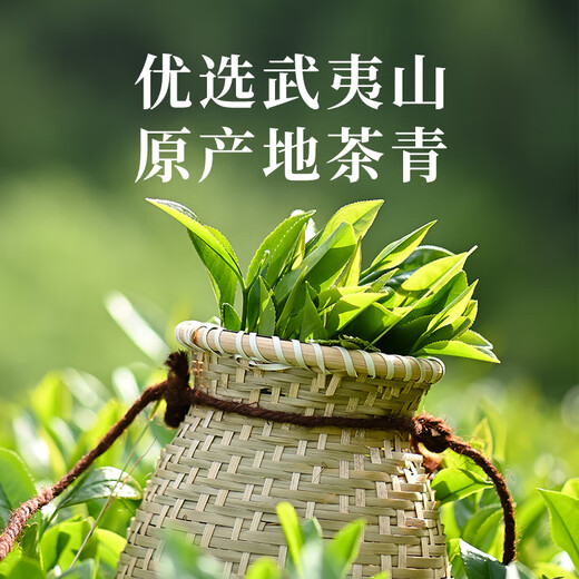 孝文家茶【大份量】肉桂口粮茶武夷岩茶沁香茶叶礼盒装 节日送礼送长辈 老客推荐-肉桂口粮茶 498g*1盒 肉桂