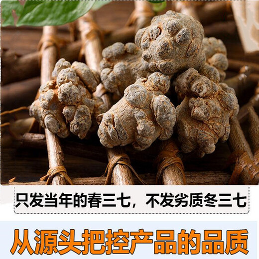 Leixiangzhuang Sanqi, Yunnan Wenshan, 37, keine Schnitte am 37. Kopf ohne Schnitte [60 Köpfe 500 Gramm - keine Schnitte]